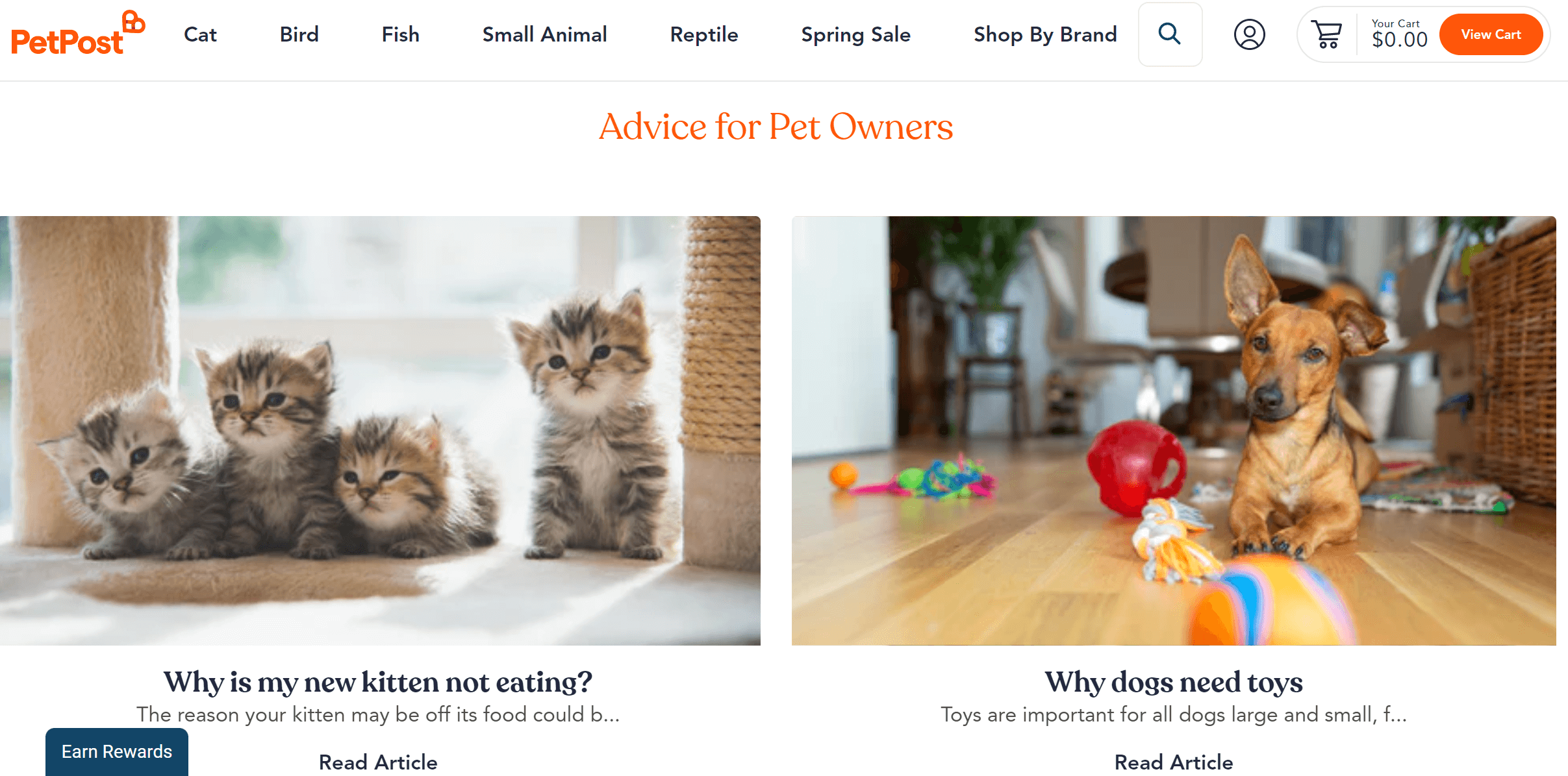 blog articles for pet owners